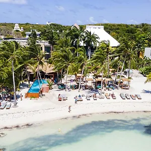 Mayan Monkey - Social (adults Only) Isla Mujeres