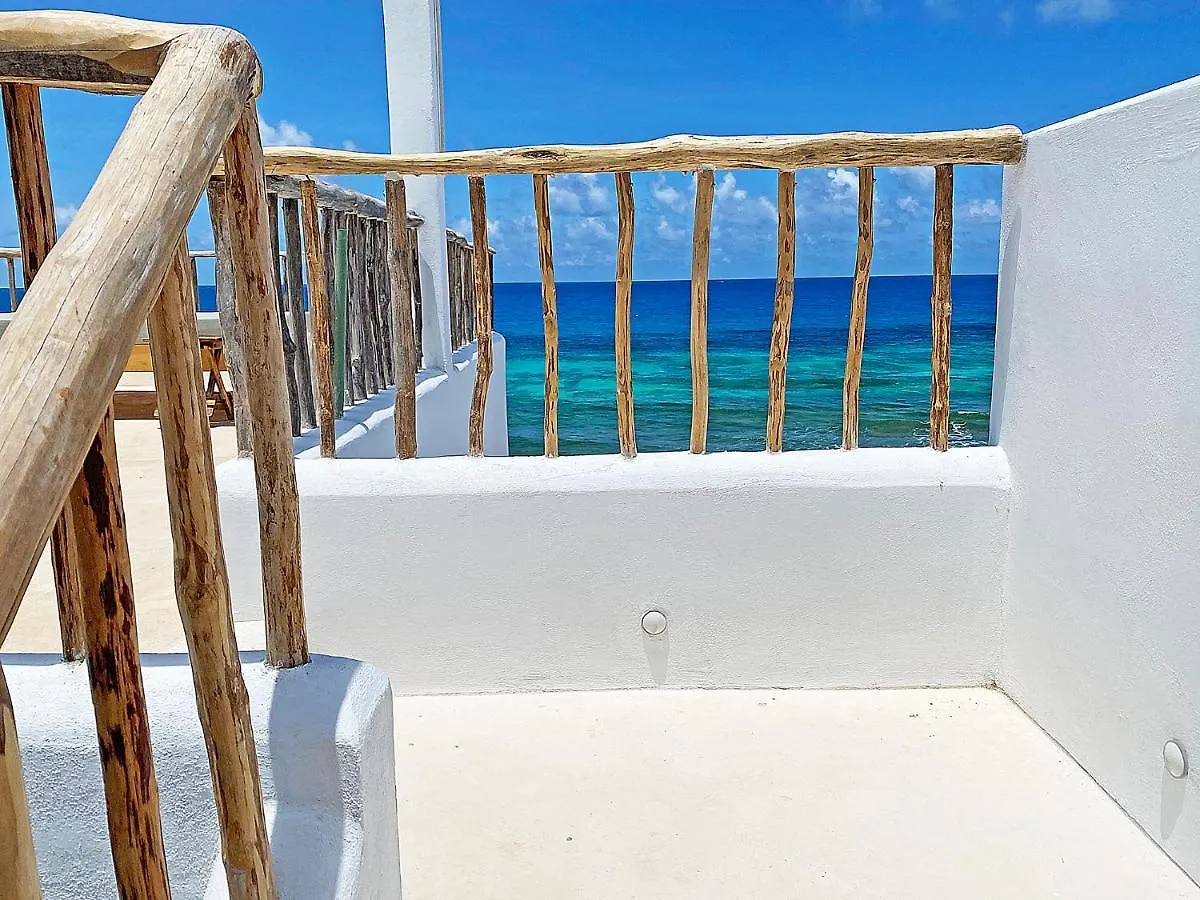 Guest house Casa Alkimia Oceanfront Hotel Isla Mujeres